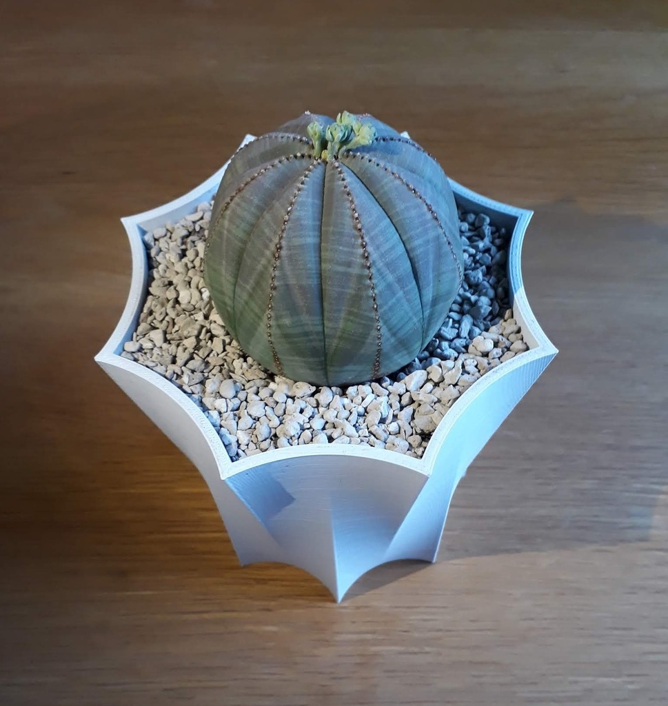 Miniatura 9 do modelo 3D Octopot - Octagonal Rounded Plant Pot 
