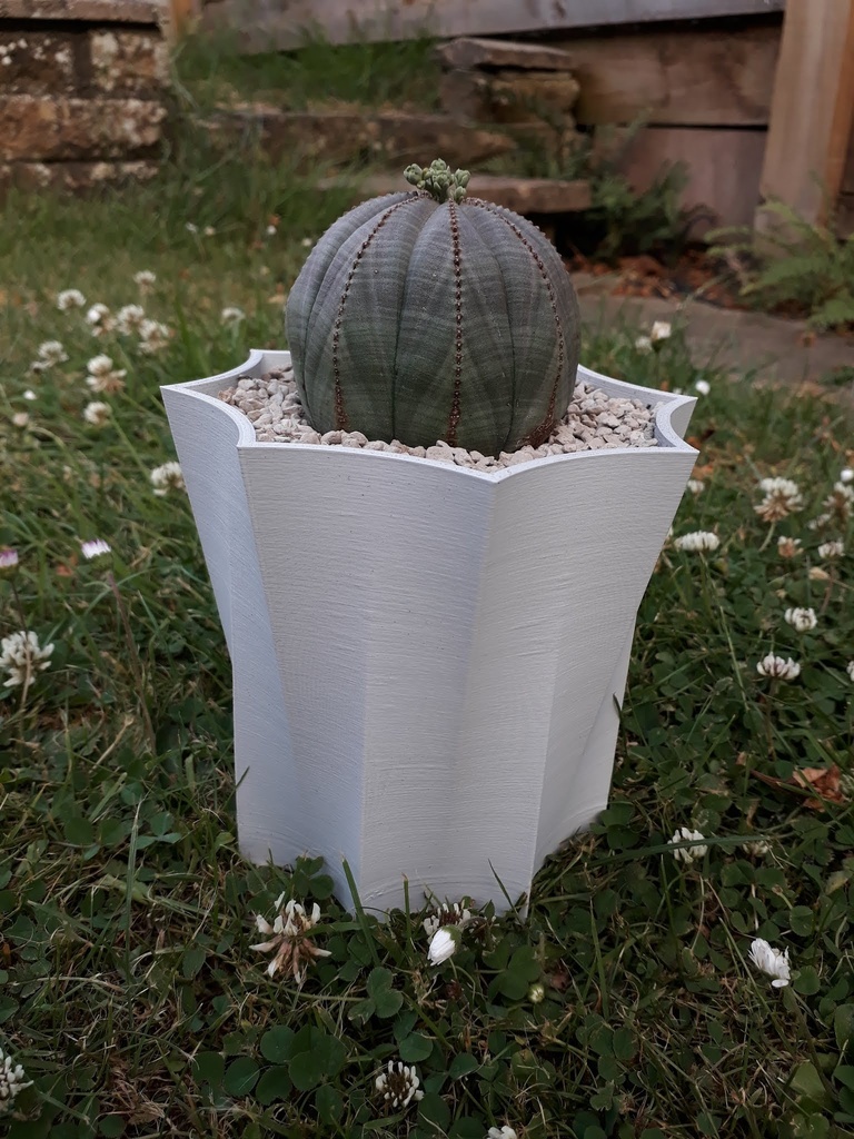 Miniatura 10 do modelo 3D Octopot - Octagonal Rounded Plant Pot 
