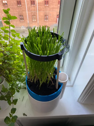 Plant support with chop sticks