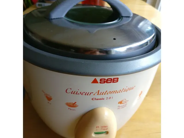Seb Classic 2.0l rice cooker handle