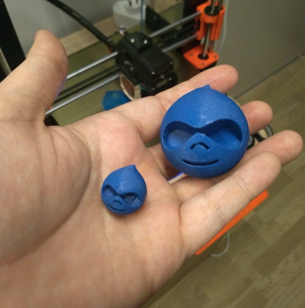Druplicon
