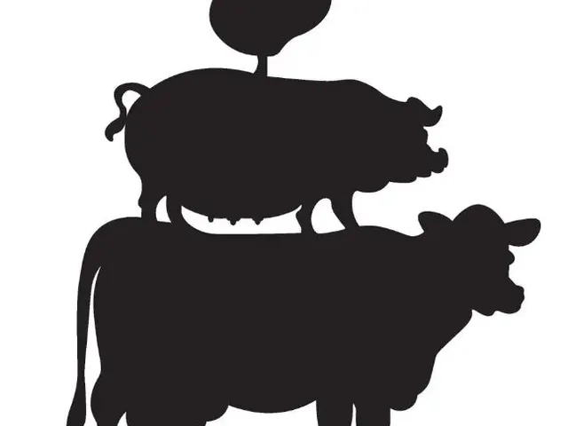 Farm Wall Decor
