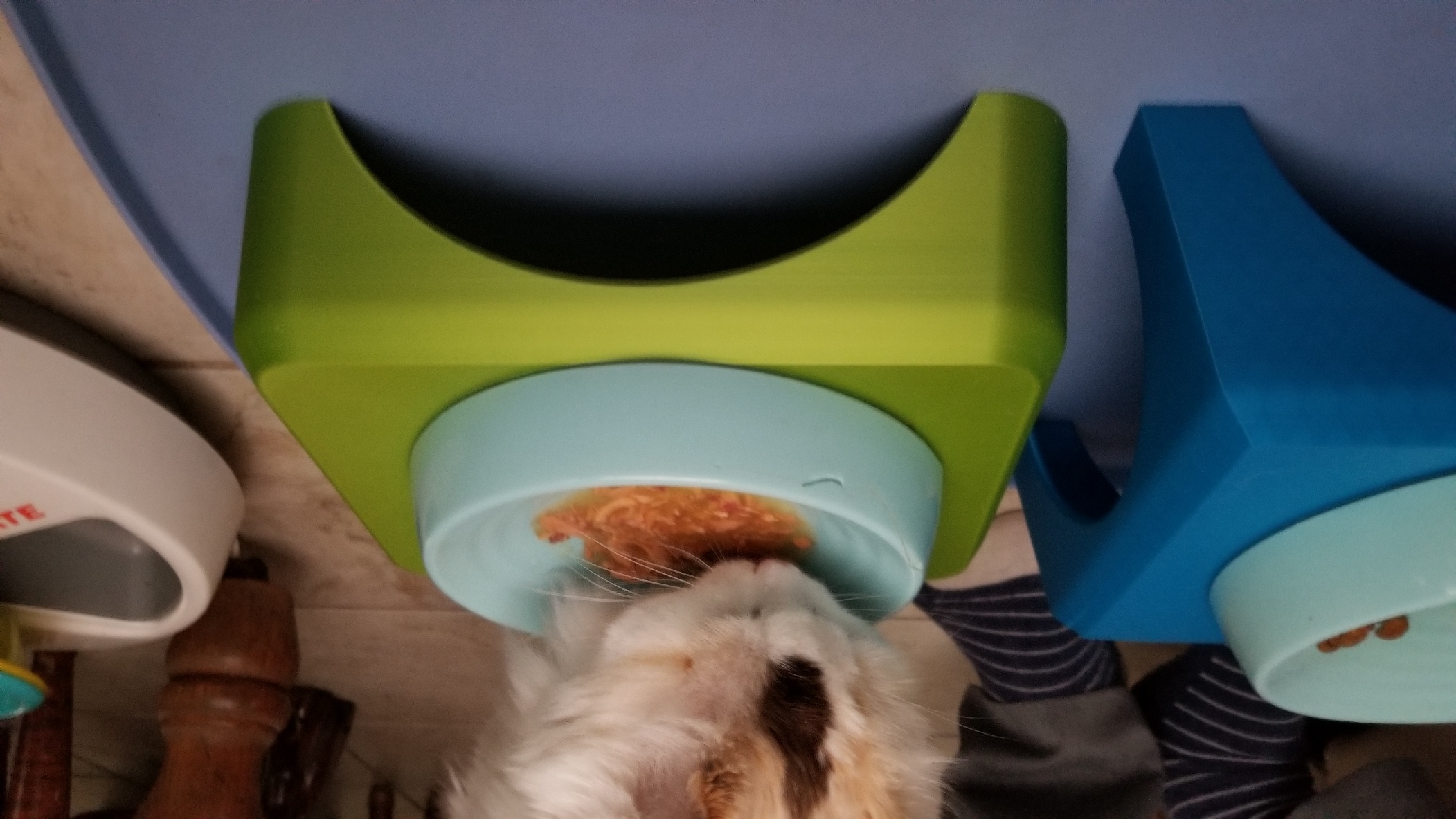 Miniatura 6 do modelo 3D Pet Feeding Table: 2 versions