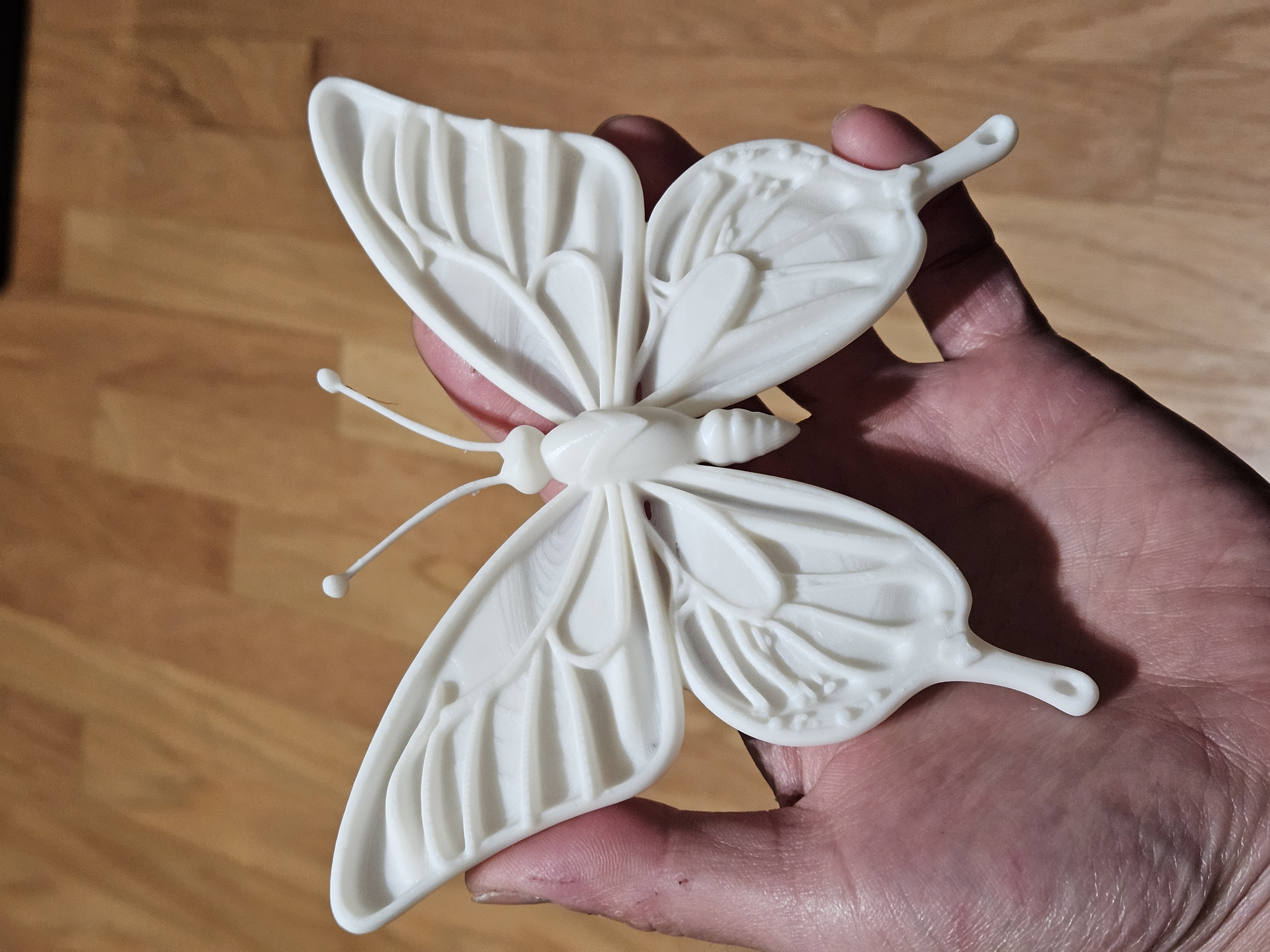 Butterfly Art