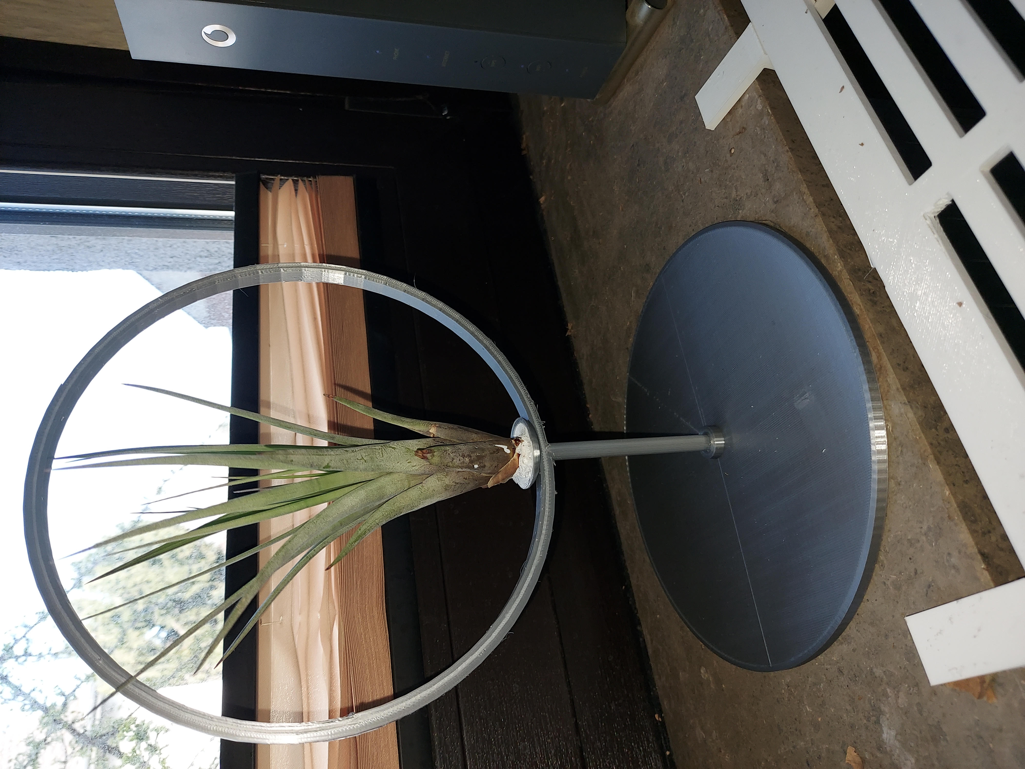 Airplanthanger 2 for upright standing Tillandsia