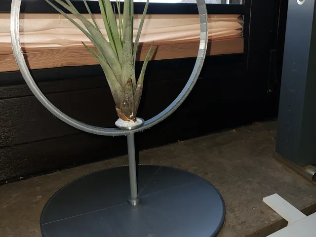 Airplanthanger 2 for upright standing Tillandsia