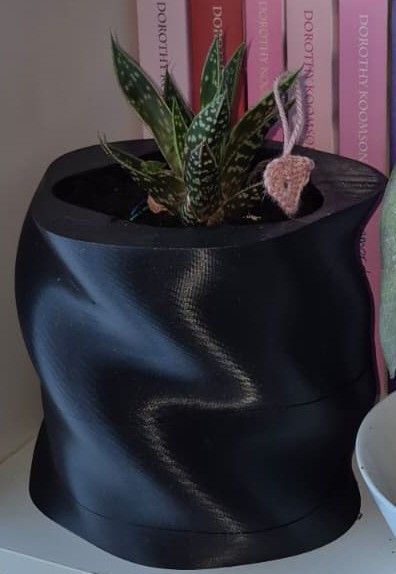 Self-Watering Plant Vase