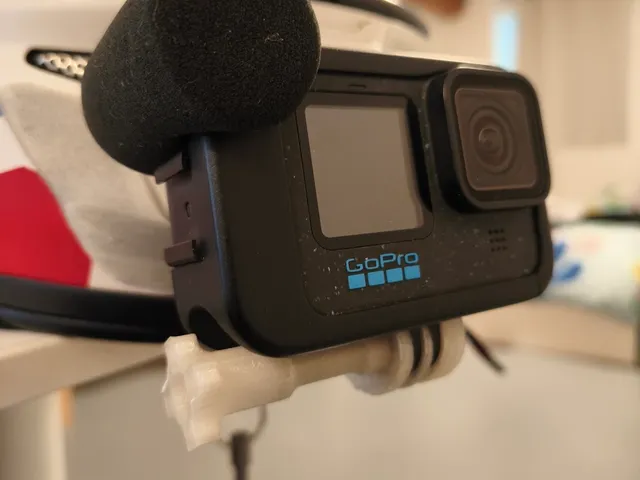GoPro mount long screw