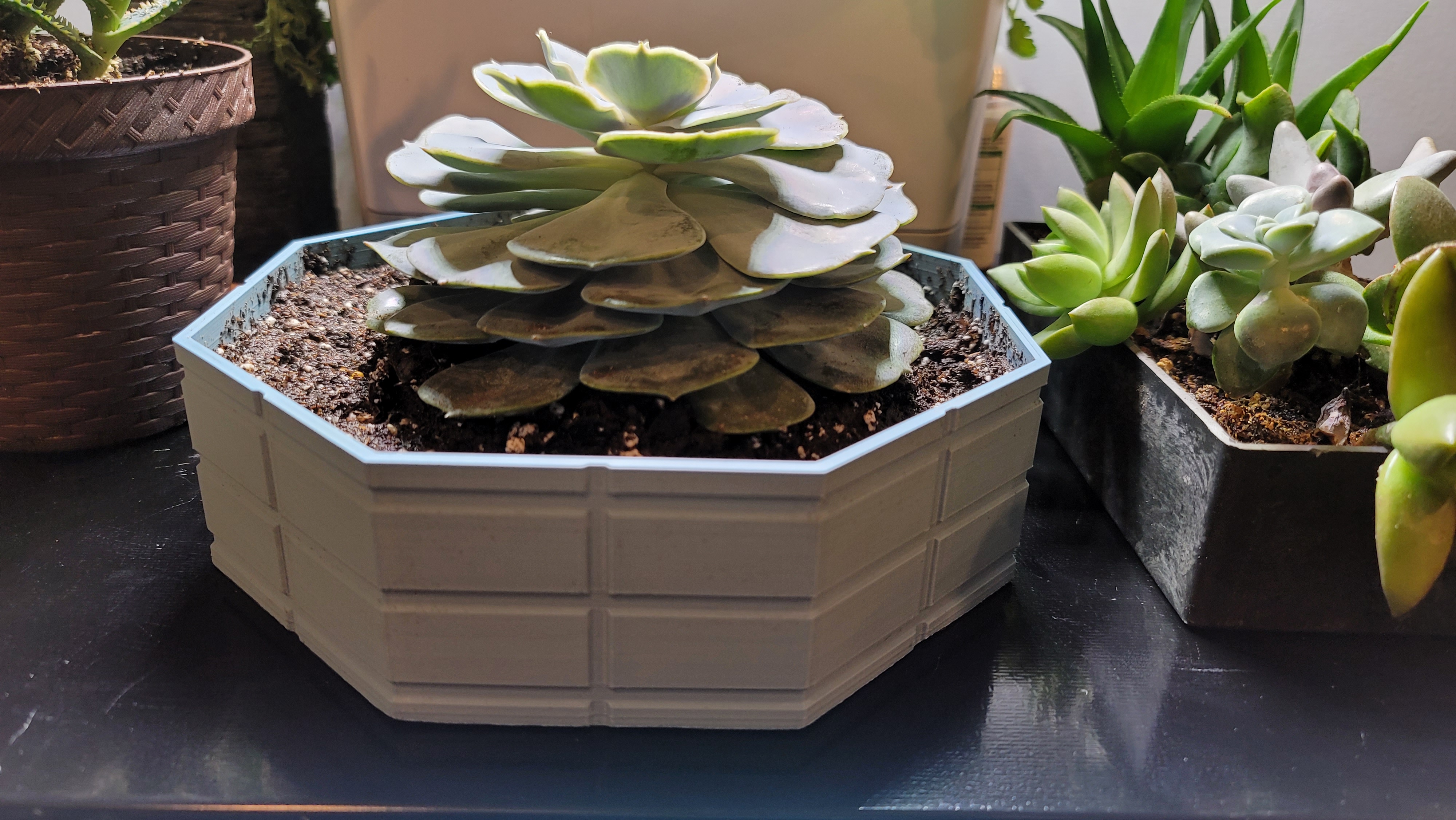 Plant Flower Pot
