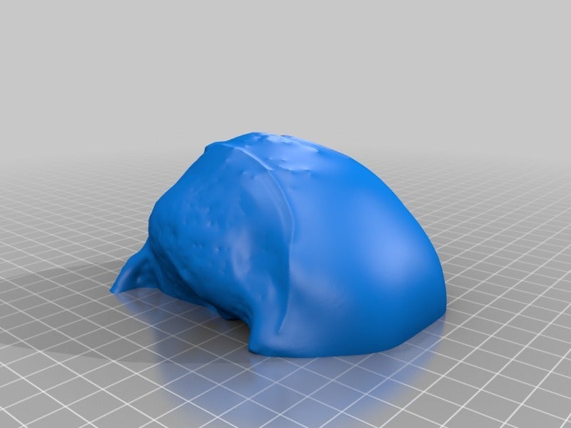 Miniatura 5 do modelo 3D Pug skull
