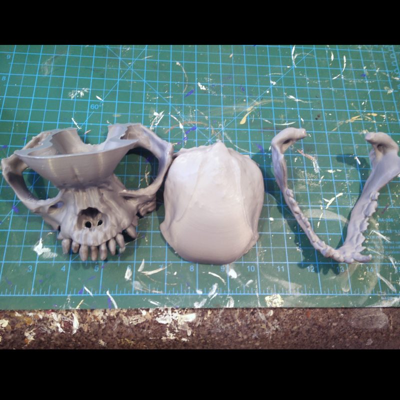 Miniatura 6 do modelo 3D Pug skull