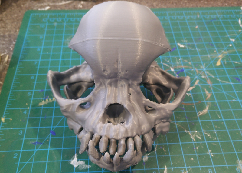 Miniatura 8 do modelo 3D Pug skull