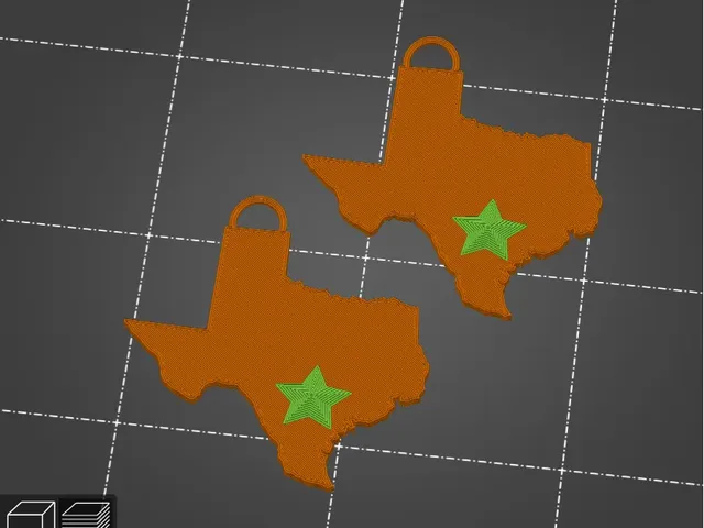 Texas Earrings