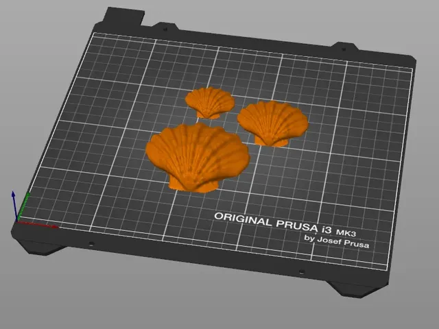 Three Shells fridge magnets