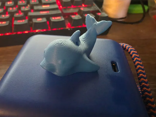 Dolphin Charm