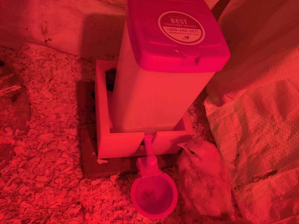 Chicken Waterer base