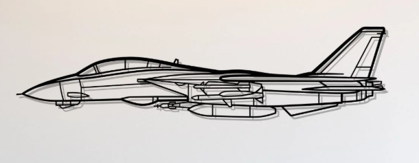 F-14 Tomcat Wall Art