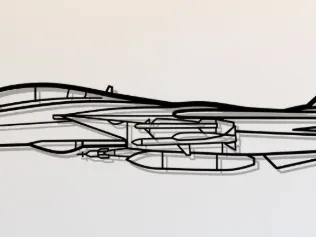 F-14 Tomcat Wall Art