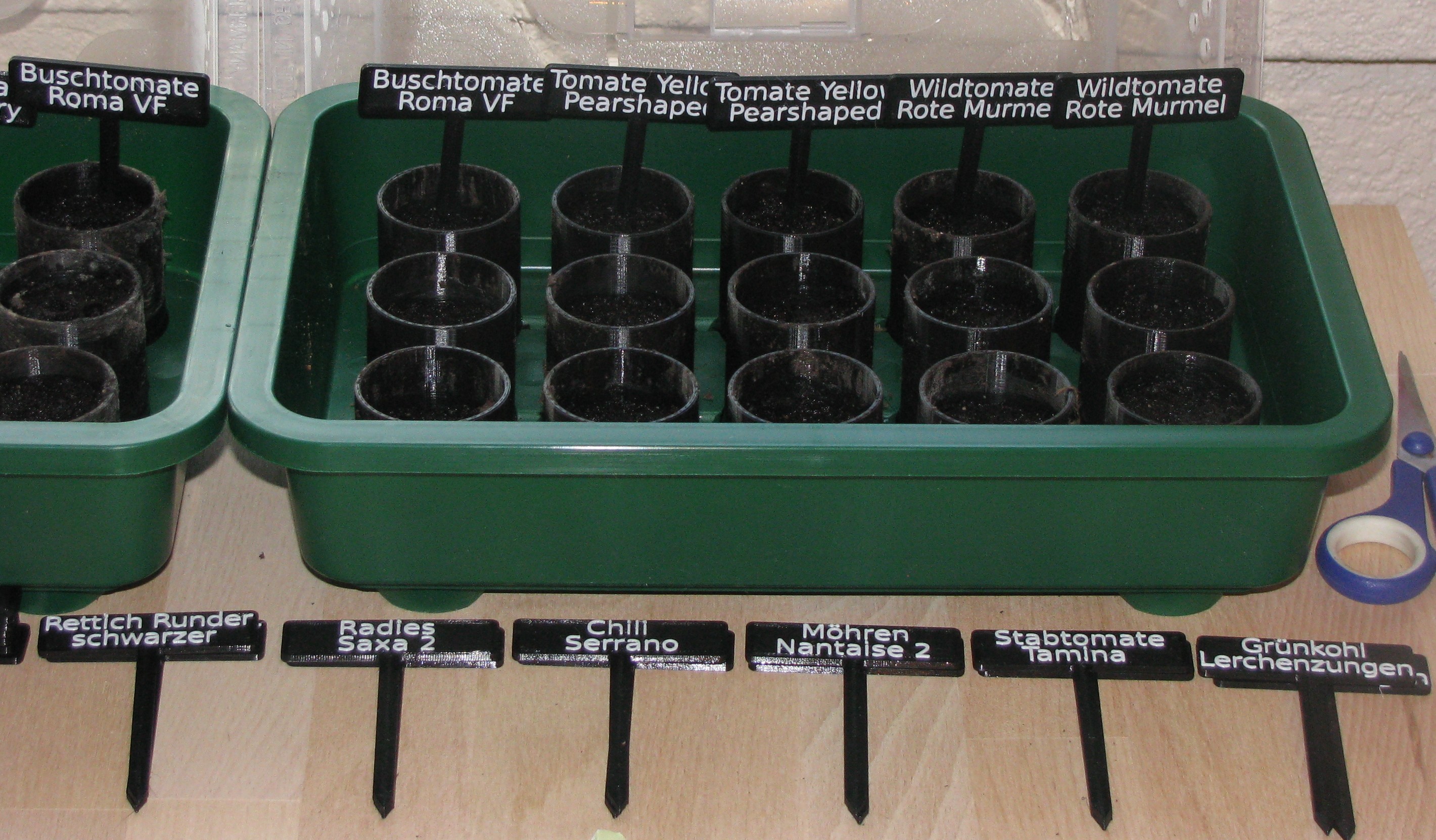 Seed Plant Label