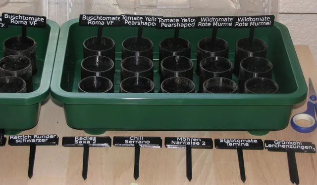Seed Plant Label