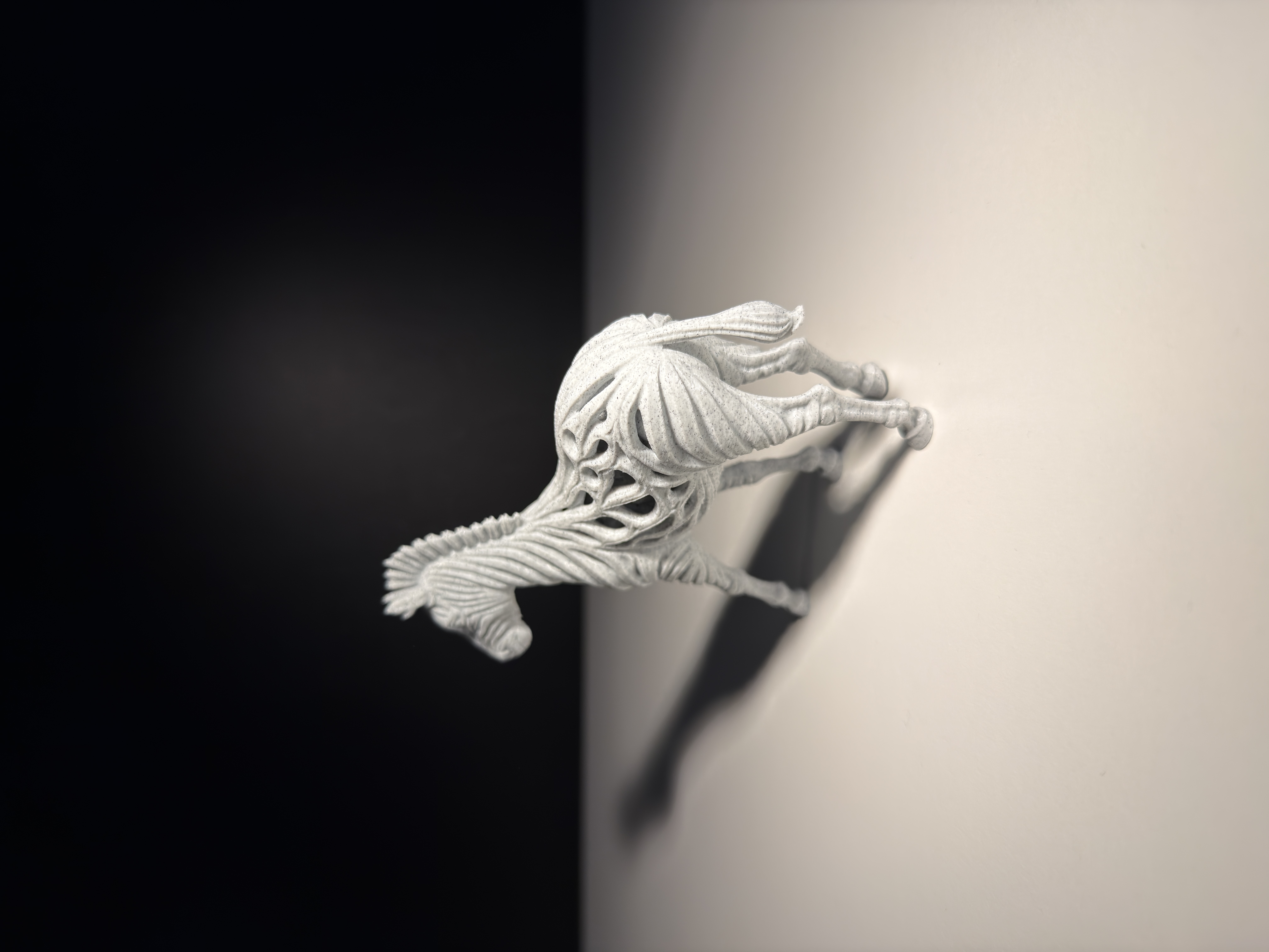 Zebra — miniatura 2