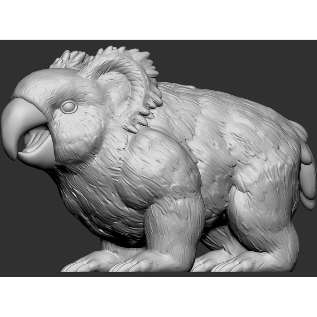 Miniatura 8 do modelo 3D Parrotbear