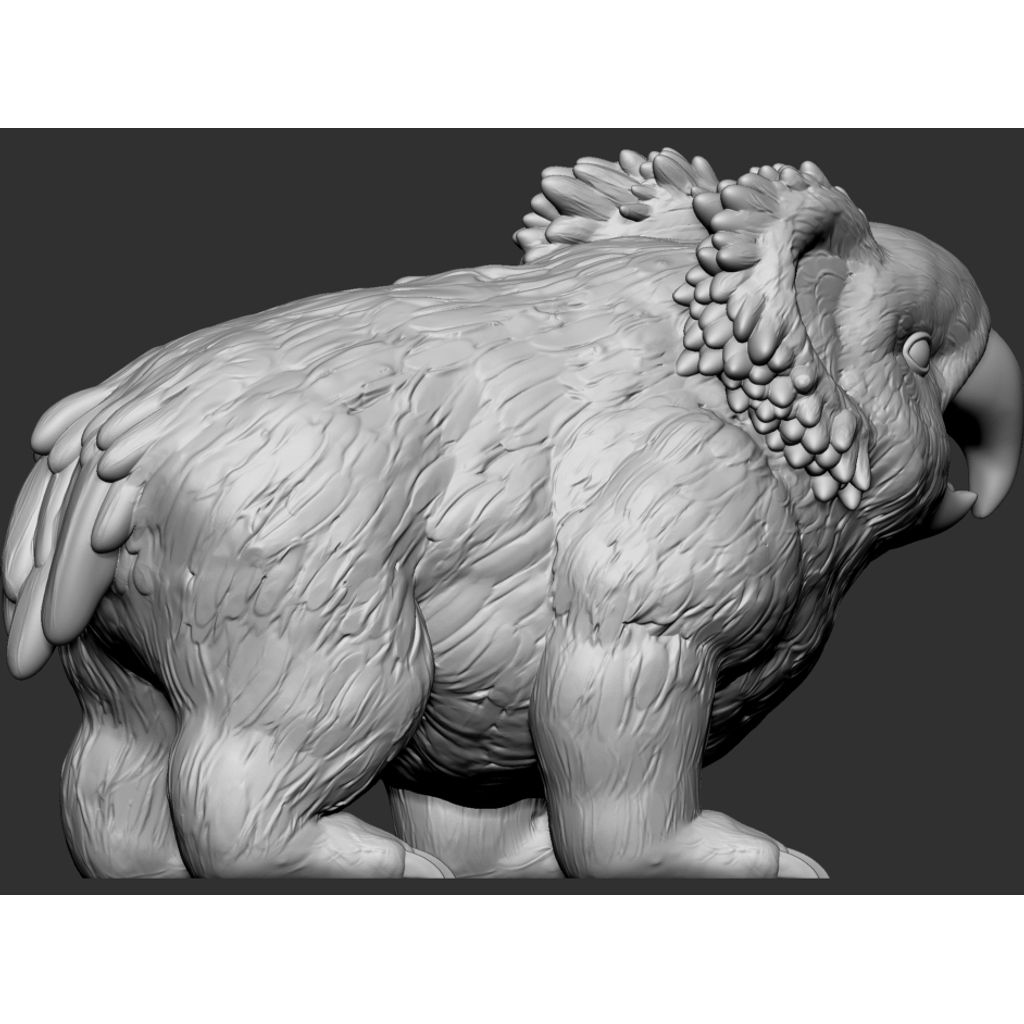 Miniatura 2 do modelo 3D Parrotbear