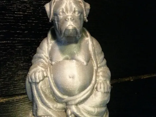 Boxer Buddha