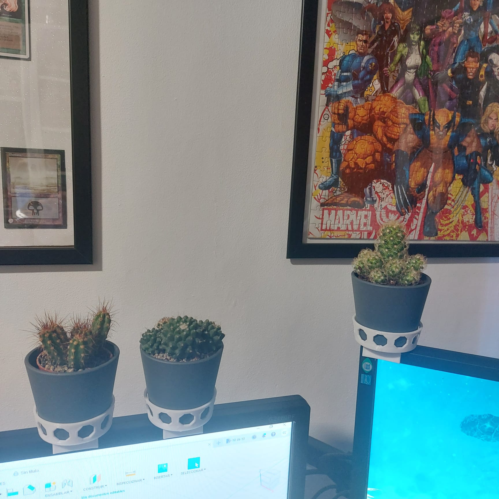 Pot Screen Support for Cactaceae plants from Ikea