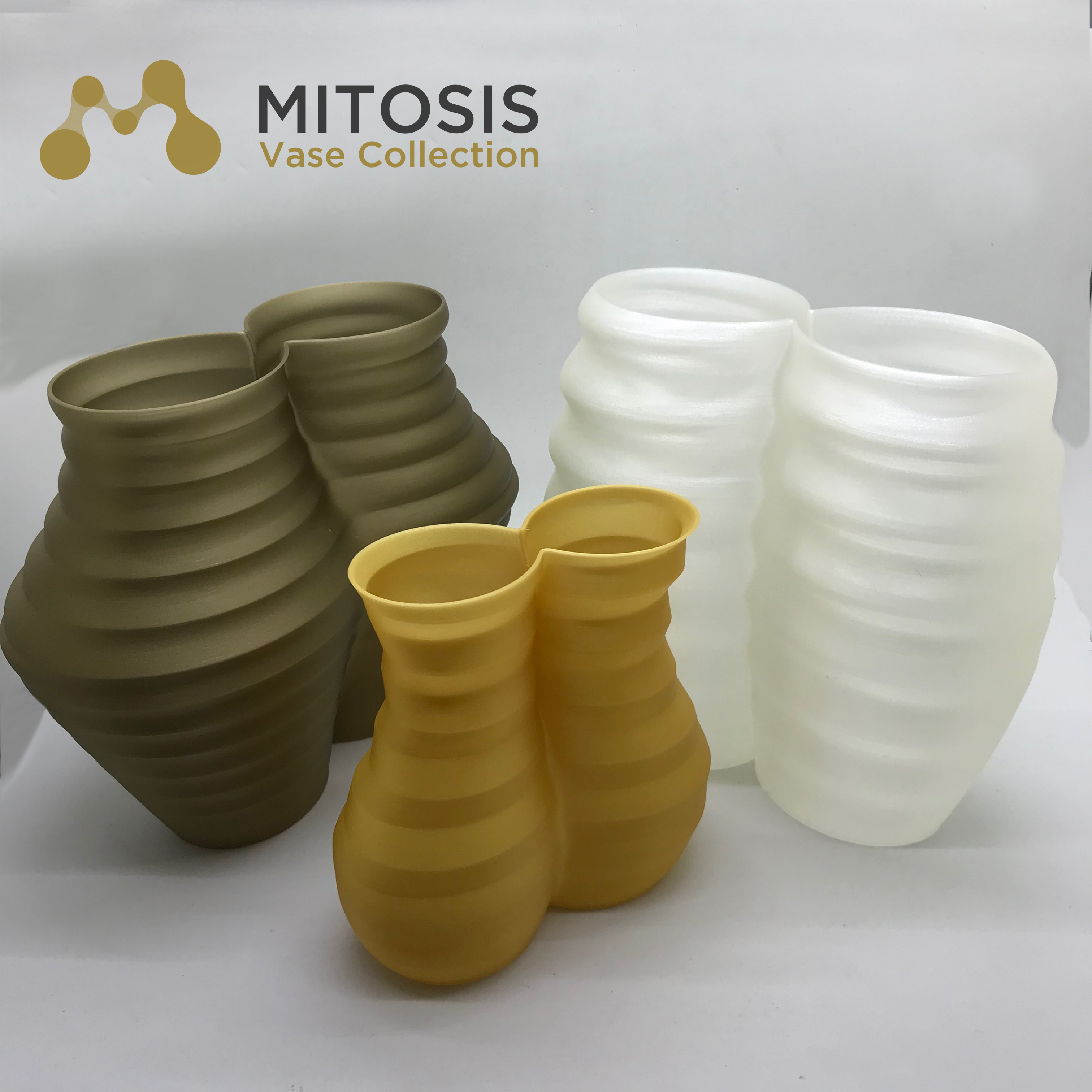 Mitosis Vase Collection