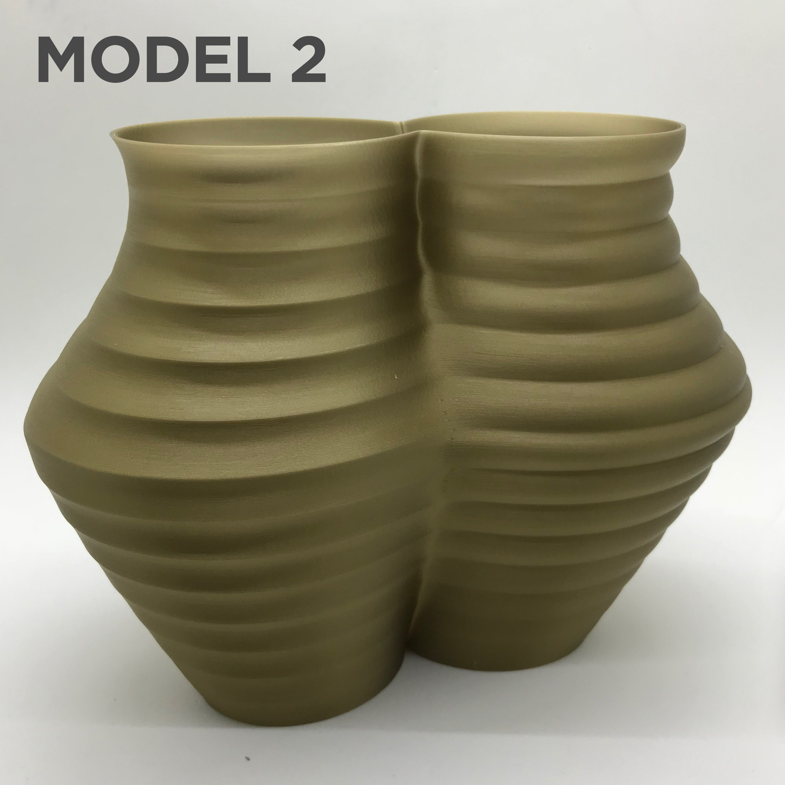Miniatura 4 do modelo 3D Mitosis Vase Collection