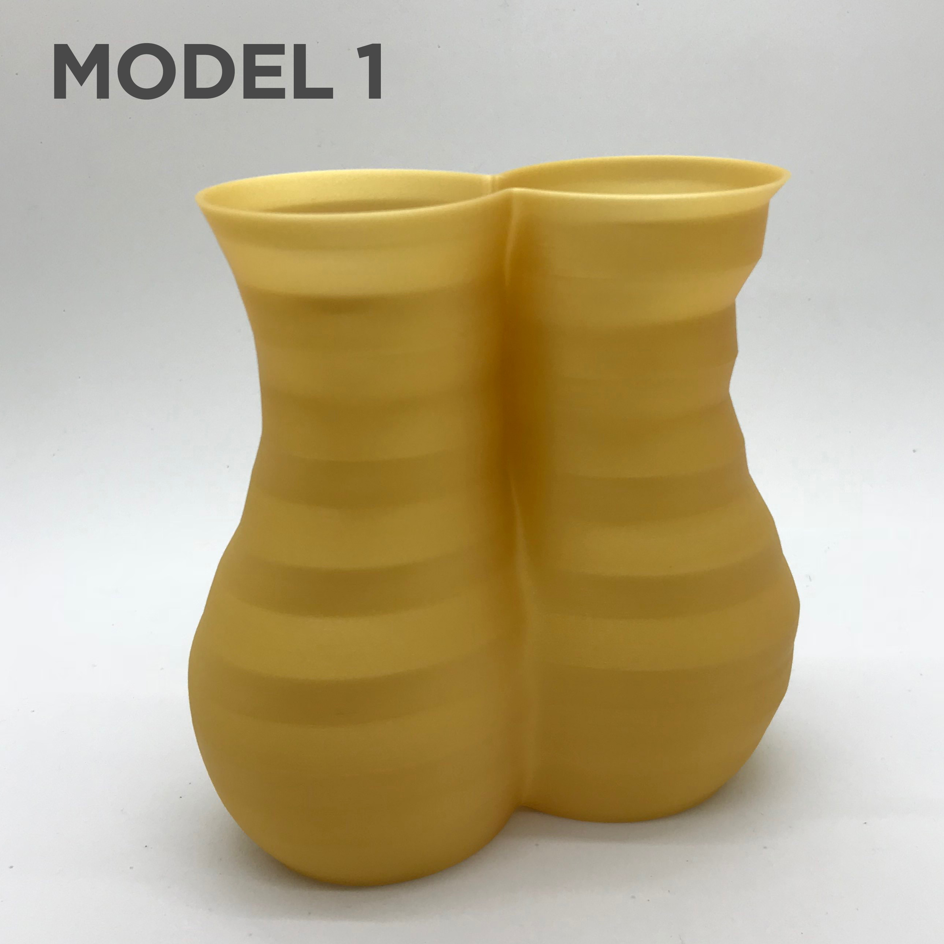 Miniatura 3 do modelo 3D Mitosis Vase Collection
