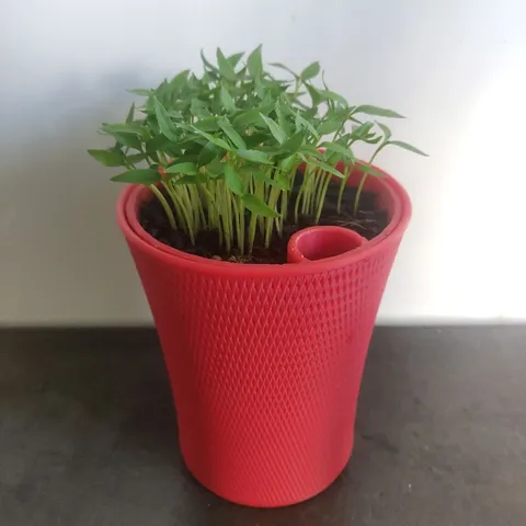 Self-Watering Plant Pot