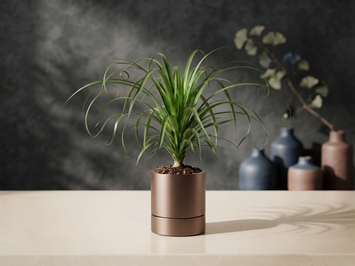 Simple Indoor Plant Pot With Drip Tray