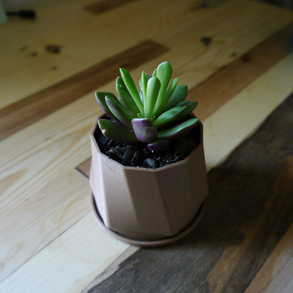 Miniatura 2 do modelo 3D Succulent Planter