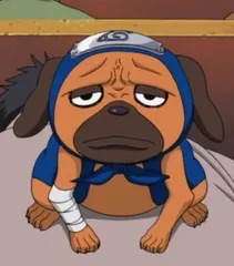 pakkun