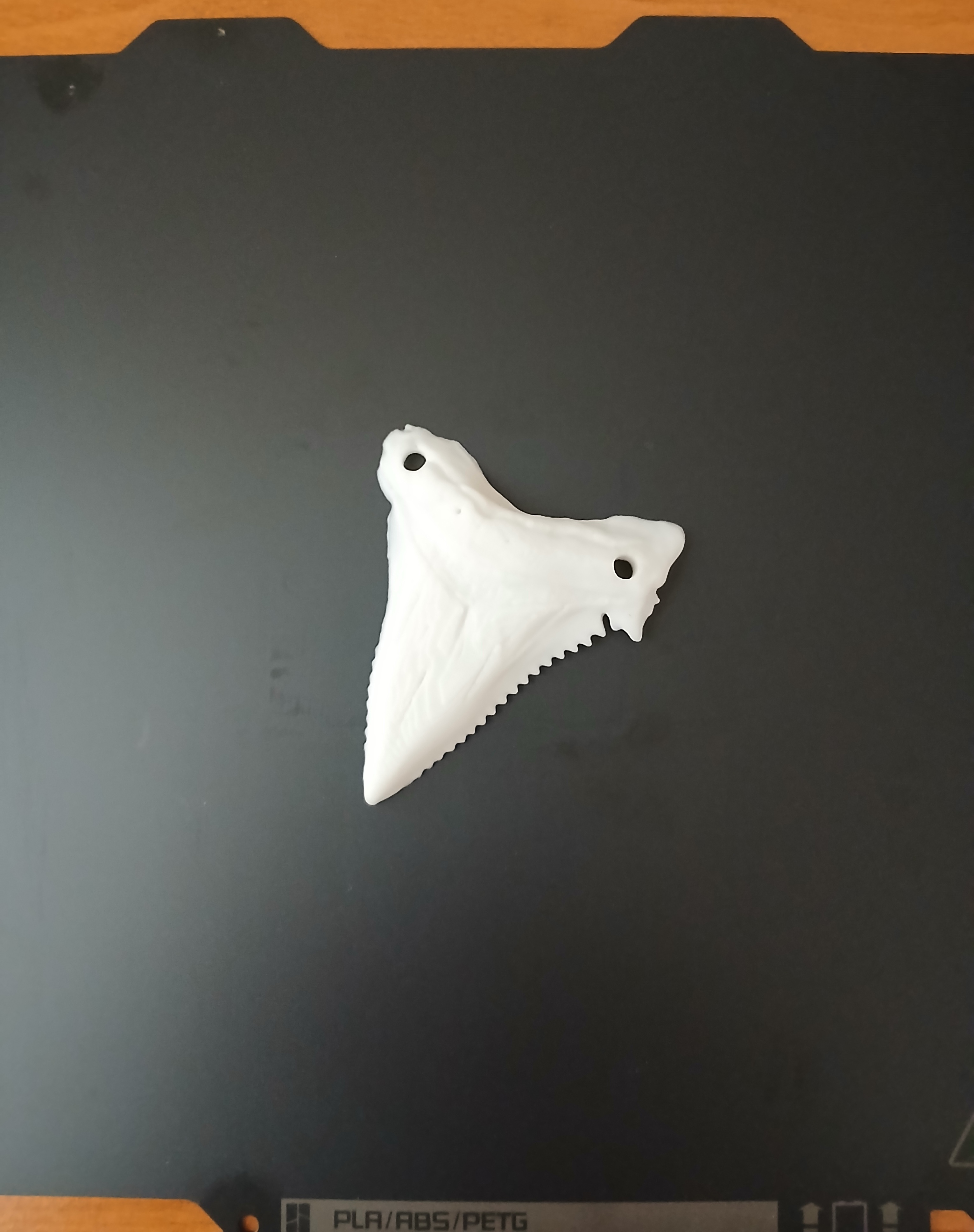 Realistic Shark Tooth