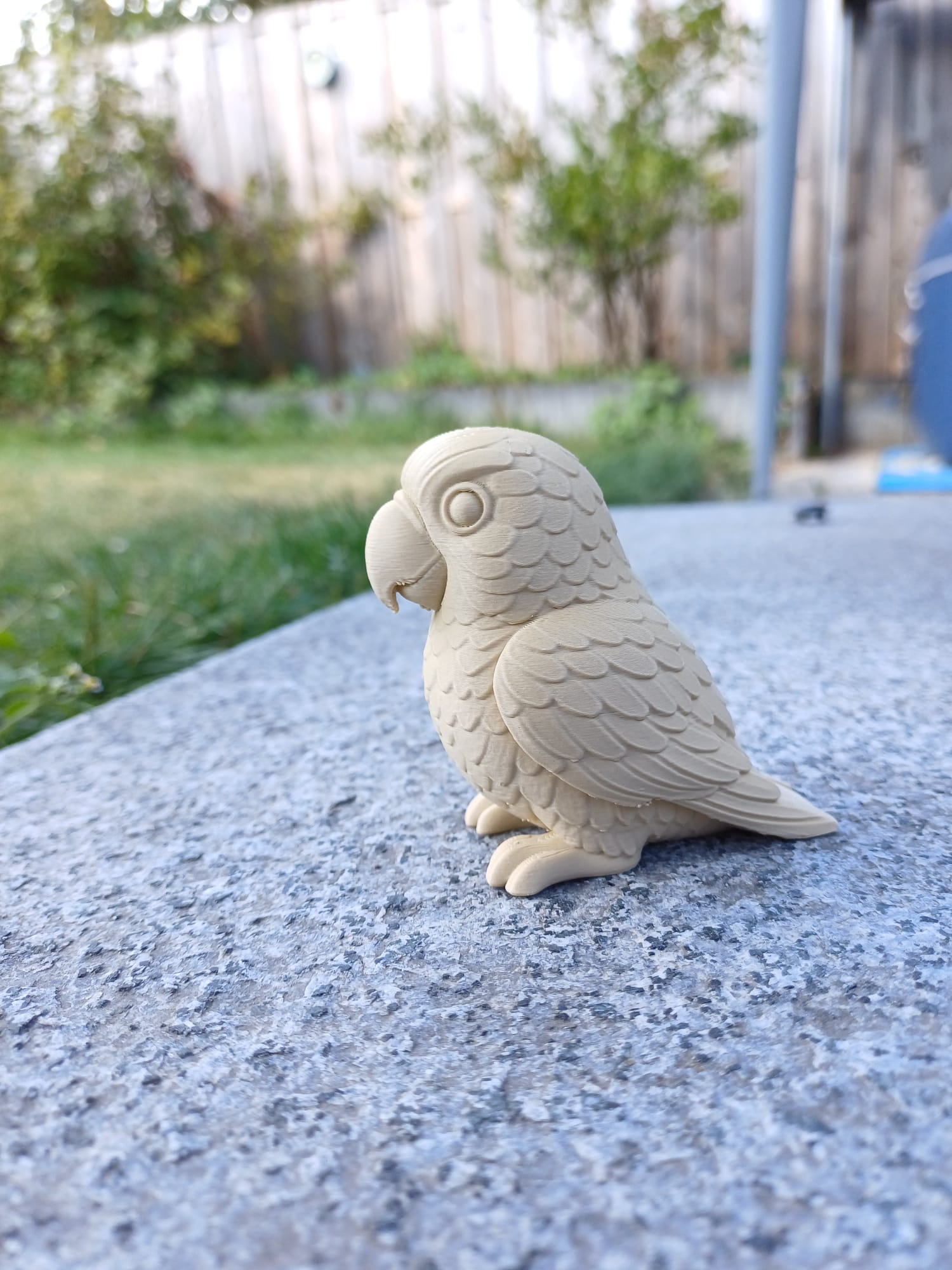 Tropical Buddy