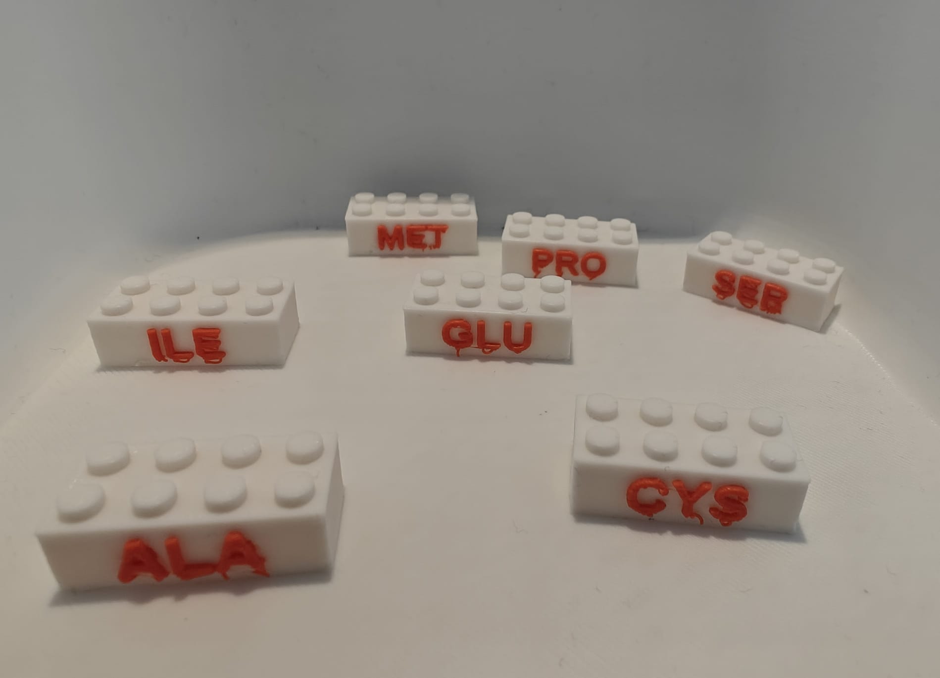 Amino Acid Bricks