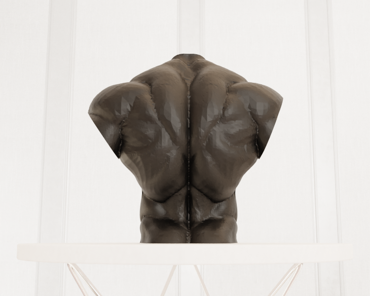 Torso — miniatura 5