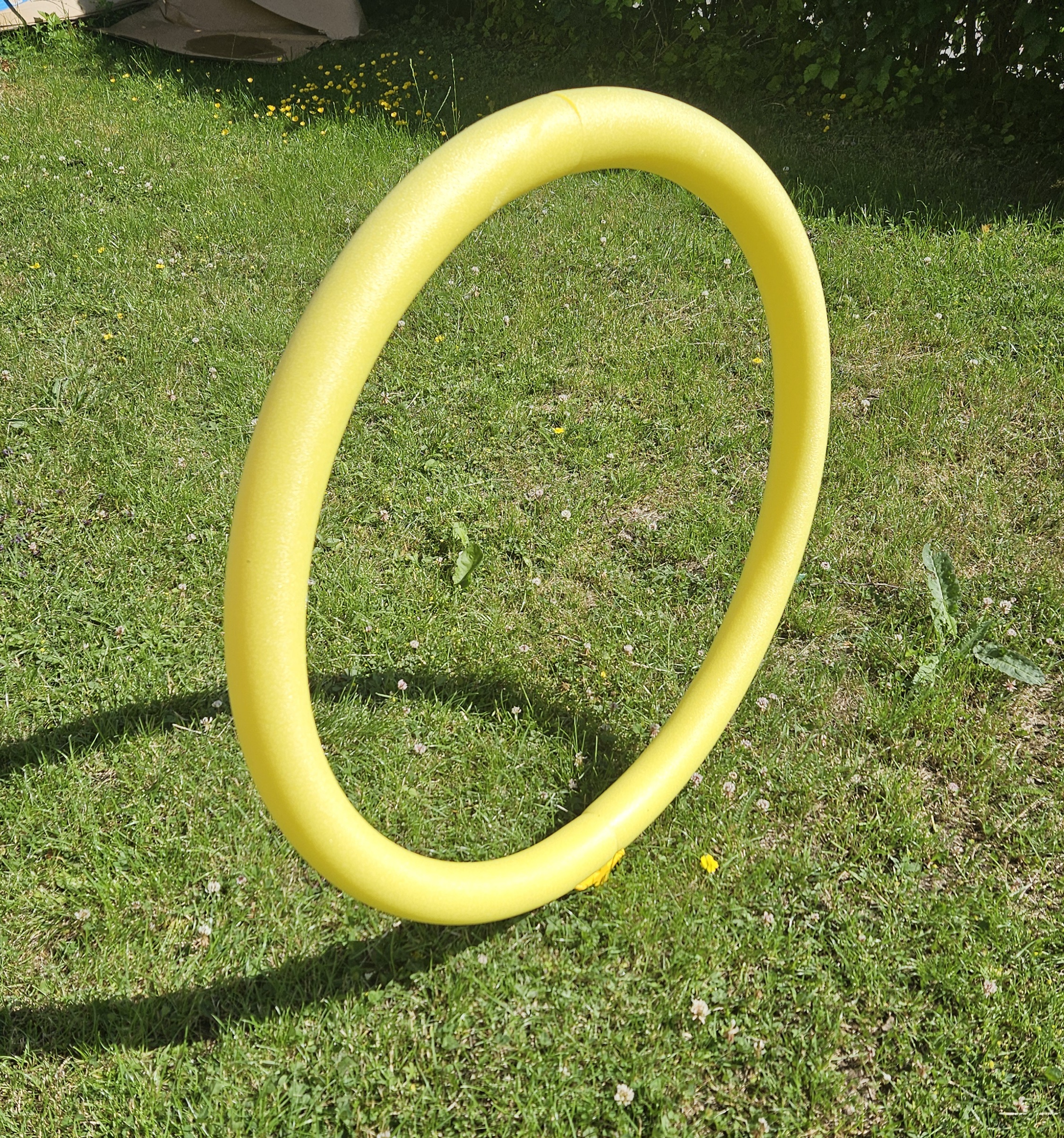 Pool Noodle Drone Gates