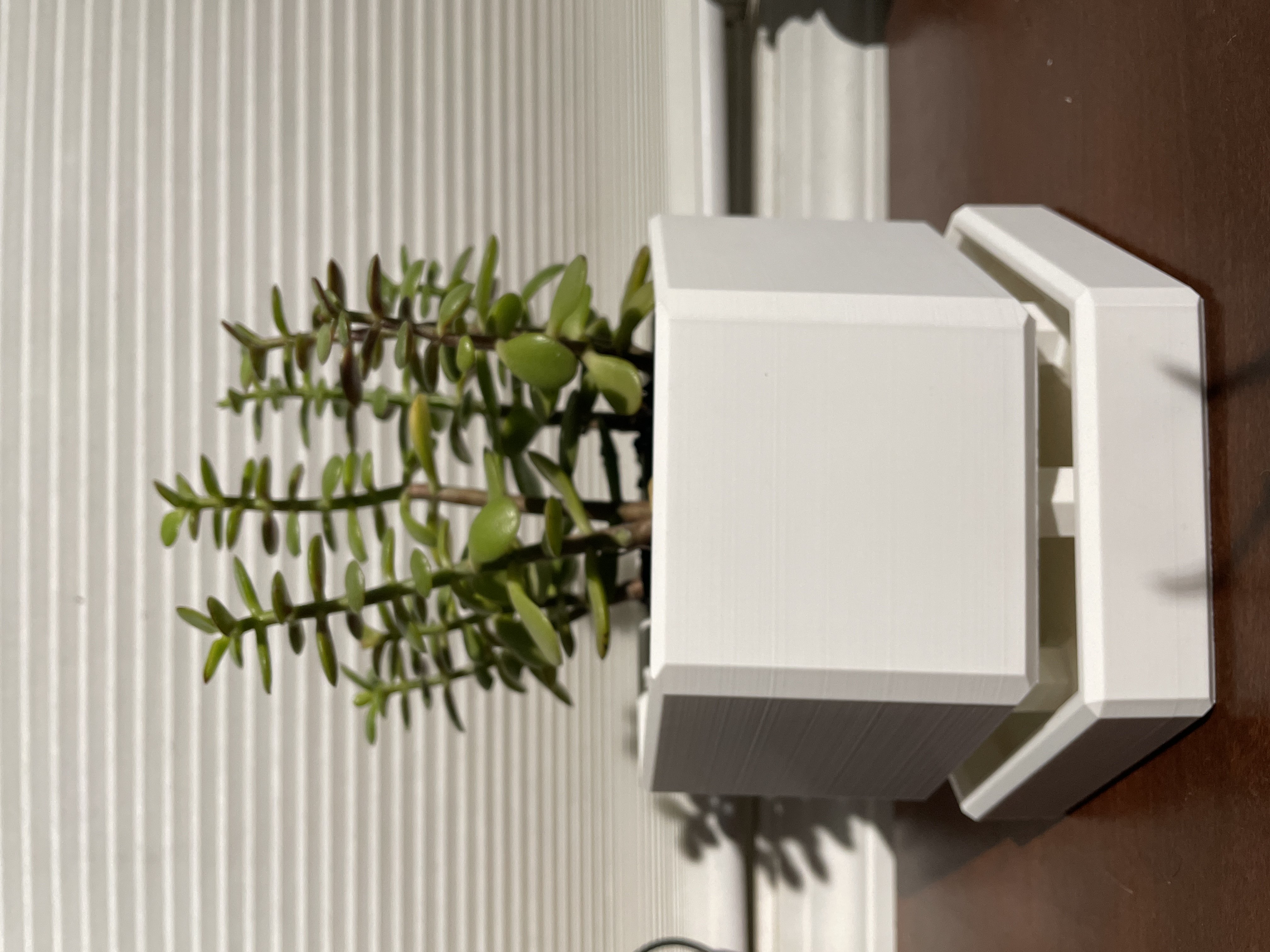 Hexagon Plant Pot