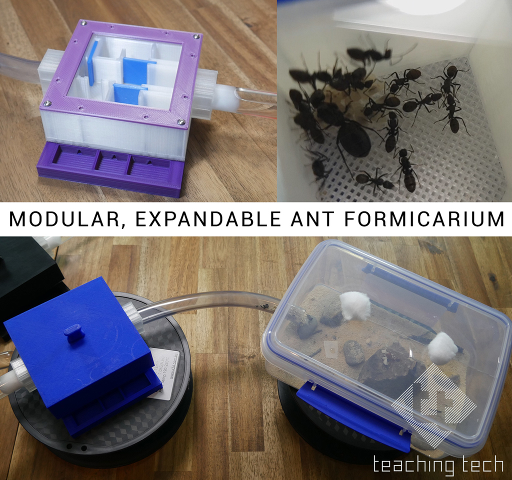 Ant Nest Small V3 With Temperature and Humidity Sensors Multiple Color  Options 3D Printed Formicarium by Black Ant Creation 