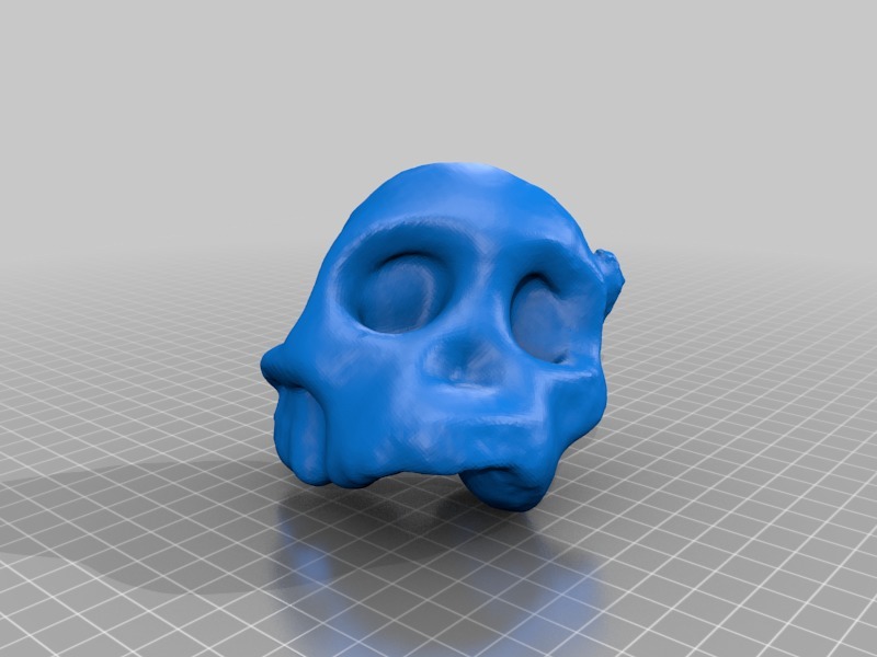 Evolutionary Skulls Set by sjpiper145 | Download free STL model ...