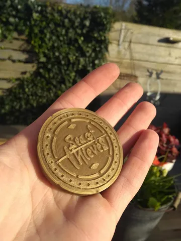 Sea Of Thieves Coin