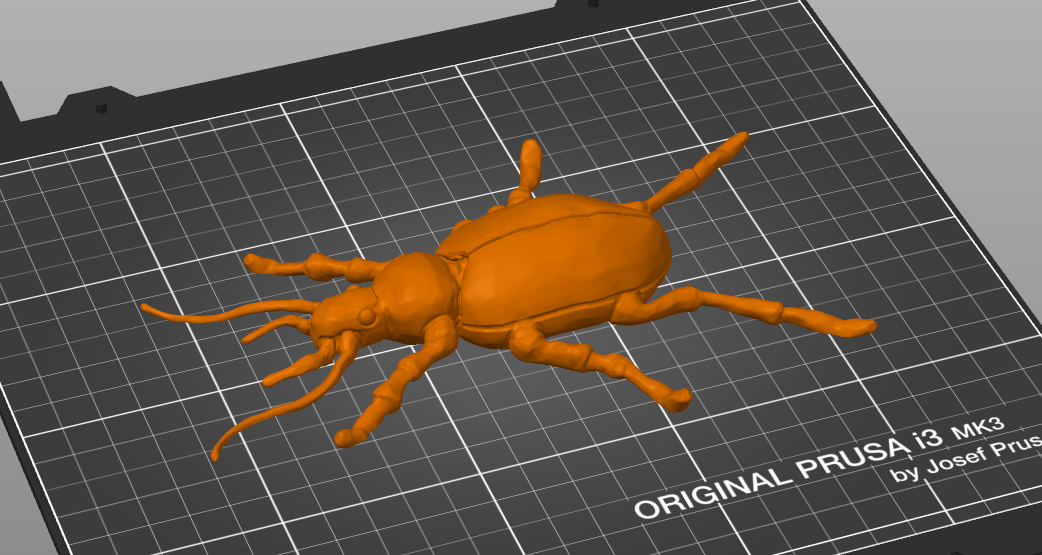 Beetle — miniatura 2