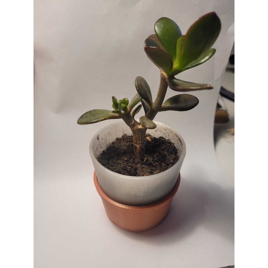 small planter / pot w/ drainage