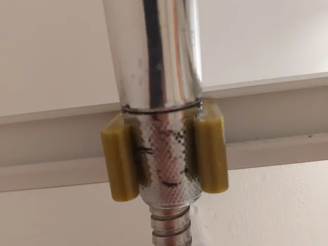 Shower holder