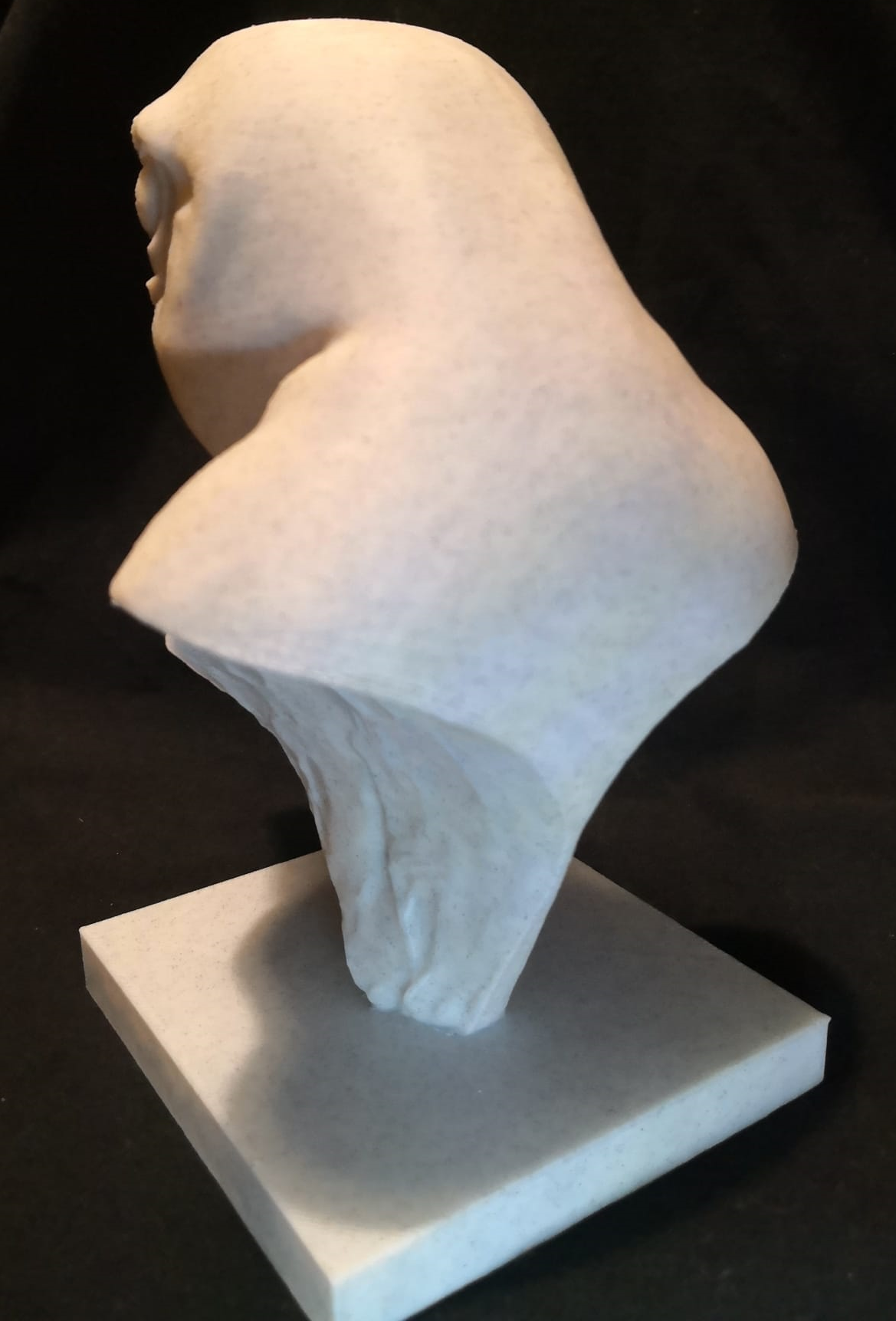 Miniatura 2 do modelo 3D Eagle Head Bust