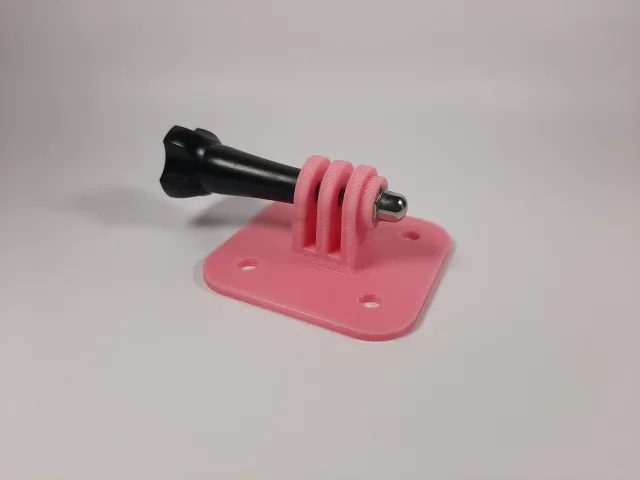 GoPro Compatible Mount